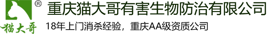 重慶市貓大哥有害生物防治